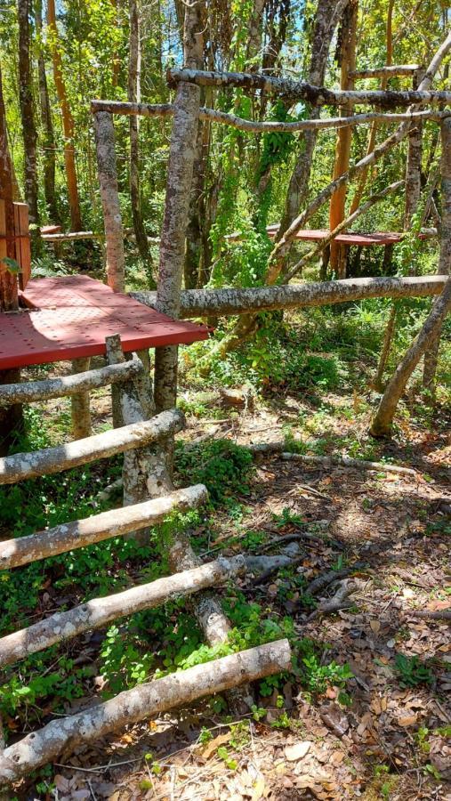 Hotel Lodge Las Cascadas Puerto Clocker Kültér fotó